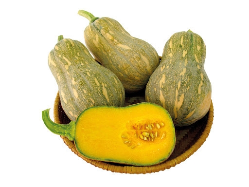 Bí đỏ hồ lô
