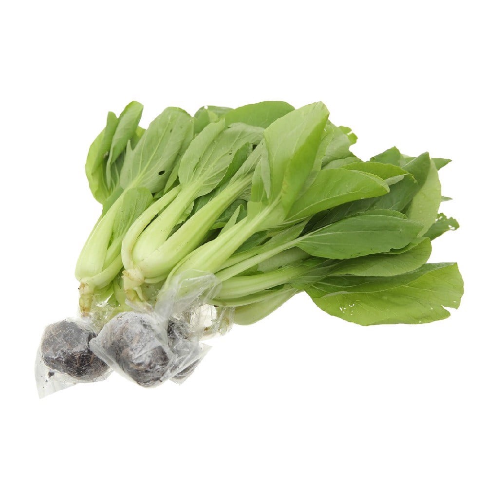 Cải thìa thủy canh