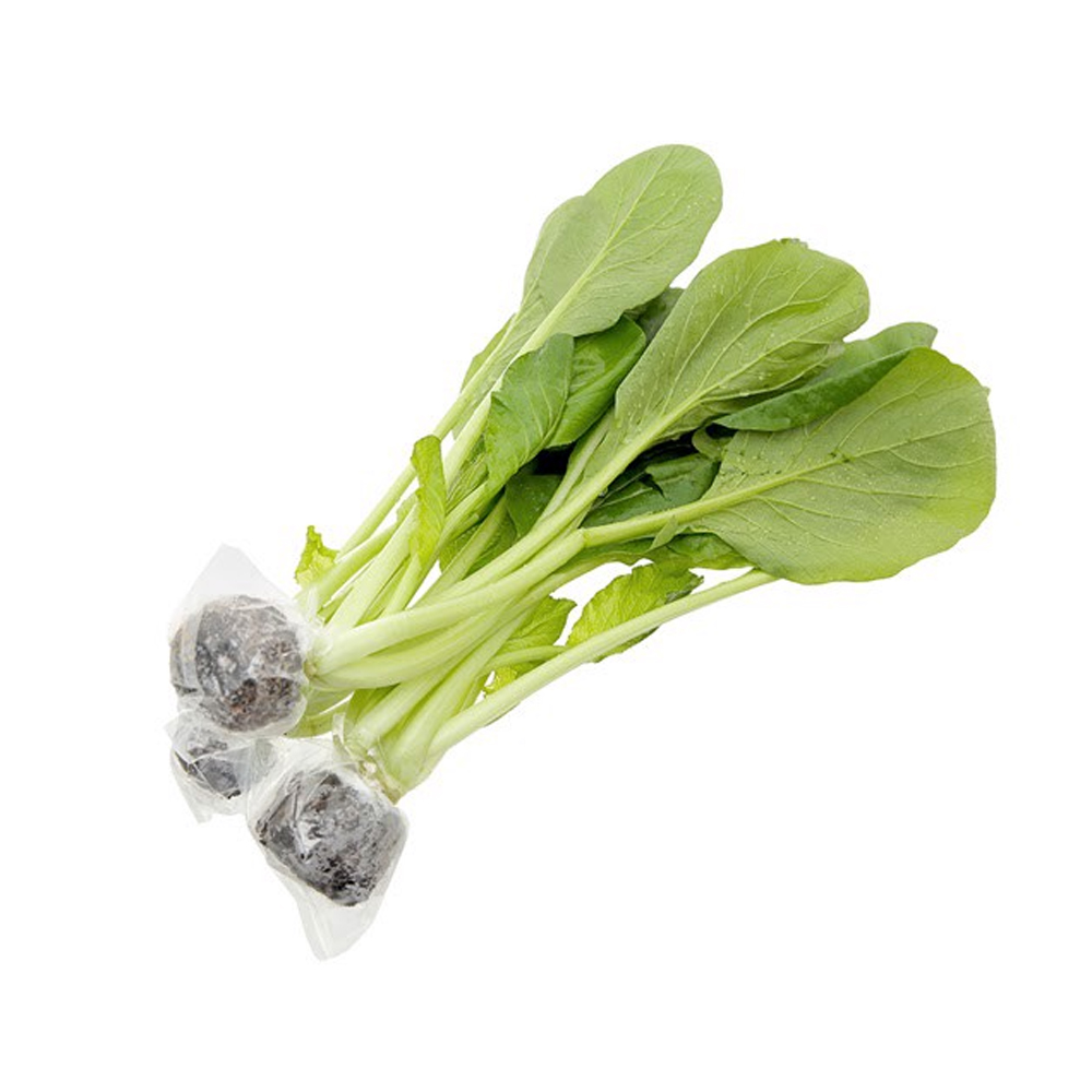 Cải xanh thủy canh