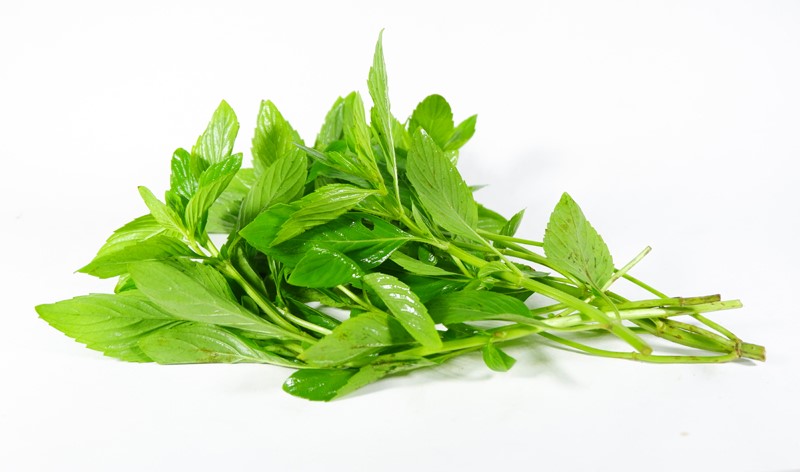 Rau húng cây