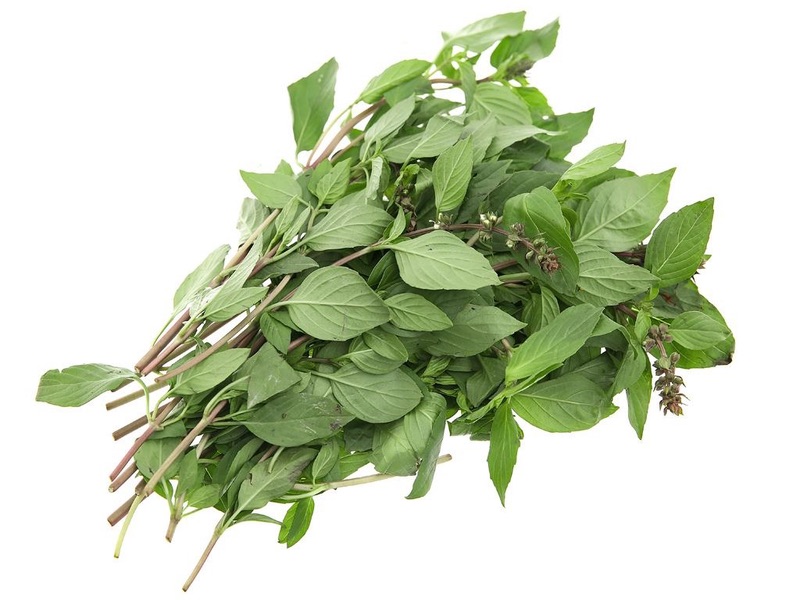 Rau húng quế