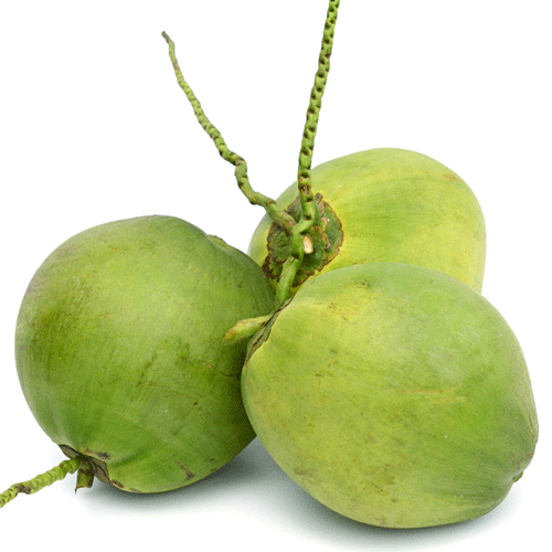 Dừa trái