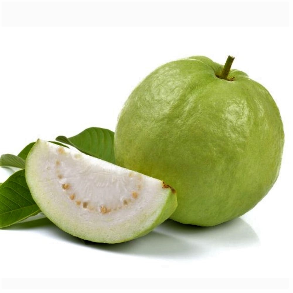 Ổi nữ hoàng